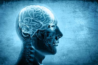 brain 3