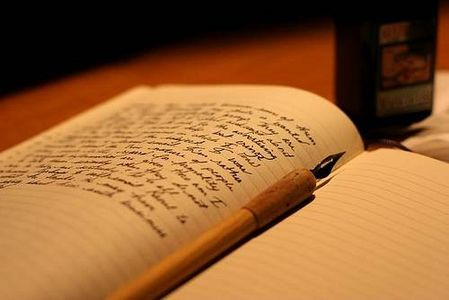novel